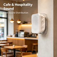 Haut-parleur mural à tension constante pour système PA 40W 60W, enceinte murale 70-110V pour sonorisation d'ambiance hôtels, écoles, restaurants