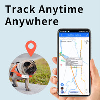 Traceur GPS pour animaux de compagnie 4G LTE anti-perte, localisateur iOS/Android, dispositif étanche pour animaux, son et lumière, positionnement GPRS GSM en ligne gratuit