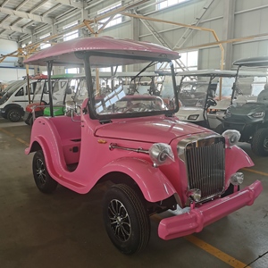 Vehículo Utilitario Turístico Eléctrico Vintage, Mini Buggy Clásico para Visitas Turísticas, Todoterreno - Product Image 3