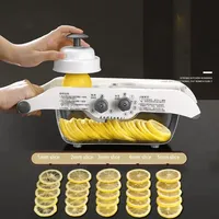 Râpe à légumes professionnelle Trancheuse à mandoline réglable en acier inoxydable