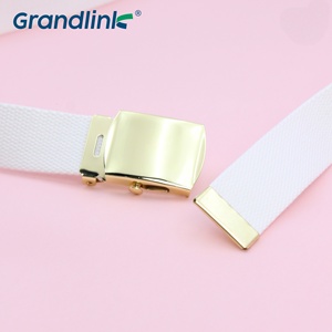 Yüksek kaliteli rahat Polyester/pamuk kemer özel Logo altın demir toka açık havada kot için stil dokuma tuval kumaş kemer - Product Image 4