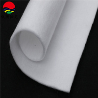 Géotextiles industriels en fibres courtes non tissées aiguilletées HDPE PP PET pour la protection des pentes