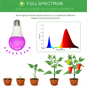 Lámpara LED para Plantas <span class=keywords><strong>de</strong></span> Espectro Completo E27 E26, Bombillas LED para Cultivo <span class=keywords><strong>de</strong></span> <span class=keywords><strong>Pitahaya</strong></span>, Vegetales <span class=keywords><strong>de</strong></span> Invernadero y Fruta del Dragón, 9W 11W - Product Image 3