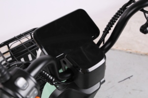 Vendita in fabbrica grande potenza motore 3 ruote elettrico triciclo passeggeri con EEC approvare tre - Product Image 6