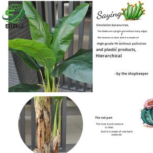 Bananier artificiel <span class=keywords><strong>en</strong></span> plastique grand bonsaï plante au sol décoration intérieure écologique haut de gamme <span class=keywords><strong>en</strong></span> <span class=keywords><strong>vrac</strong></span> <span class=keywords><strong>en</strong></span> stock - Product Image 4