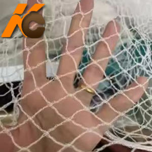 <span class=keywords><strong>Hdpe</strong></span> uv-מייצב אש בטיחות זכוכית רשת מרפסת העליון רשת נגד ציפור אנטי ציפור - Product Image 3