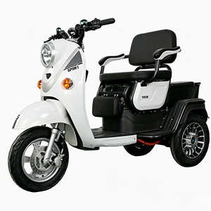 Tricicli Elettrici in Acciaio di Alta Qualità Cinesi, Design Originale per Tutti, per Trasporto Merci e Passeggeri - Product Image 4