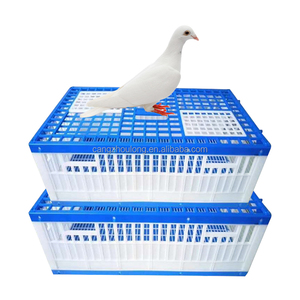 ตะกร้าพลาสติกสำหรับขนส่งนกพิราบ ZZ Wholesale ทนทาน พกพาสะดวก สำหรับนกพิราบแข่ง - Product Image 1