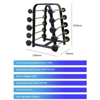 Kit Commercial de 5 Paires de Barres de Curl à Bras Fixes avec Support de Barre et Petite Structure en Caoutchouc Modèle 8.24 Shandong