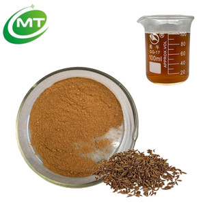 Caraway Seed Extract (Carum Carvi) - Extracto de Semilla de Comino Natural Premium, Carminativo y Antiespasmodico para la Salud Digestiva - Product Image 1