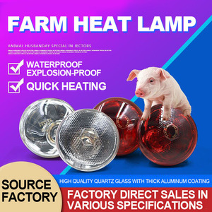 Huiqi lampe <span class=keywords><strong>chauffante</strong></span> infrarouge E27 ampoule 100W 150W 250W lampe de physiothérapie infrarouge - Product Image 4