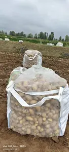 שקיות בתפזורת גדולות ארוגות PP של מפעל מקצועי 1500 ק""ג קיבולת טעינה לשימוש חקלאי עבור תפוחי אדמה גרגירים ושקיות טון