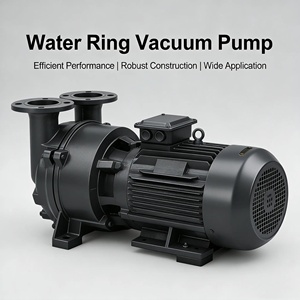 <span class=keywords><strong>Pompe</strong></span> à <span class=keywords><strong>vide</strong></span> et compresseur monobloc multi-usages à anneau liquide 2BV5121 - Product Image 1
