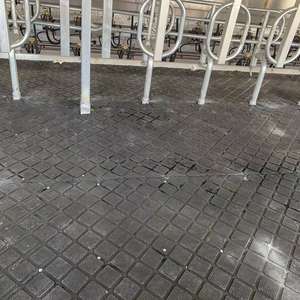 Tappetini in <span class=keywords><strong>Gomma</strong></span> per Stalle Agricole per Mucche/Pavimentazione in <span class=keywords><strong>Gomma</strong></span> per Sale <span class=keywords><strong>di</strong></span> Mungitura e Corridoi per Mucche - Product Image 5