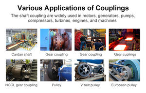 Fornitura diretta in fabbrica CL tipo a dente curvo accoppiamenti a tamburo Falk albero del cambio accoppiamenti con denti coronati - Product Image 6