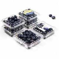 Herbruikbare PET transparante plastic doos voor blauwe bessen, geventileerde clamshell voor vers fruit, aardbeien, frambozen, groothandelsverpakking