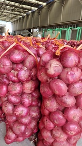 Oignons jaunes et rouges frais du Yunnan, saveur riche et parfumée, légumes pelés de petite taille en gros - Product Image 3