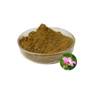 Factory Supply Hibiscus Flower Extract Powder 10:1 Hibiscus Extract Hibiscus Flower Extract Powder