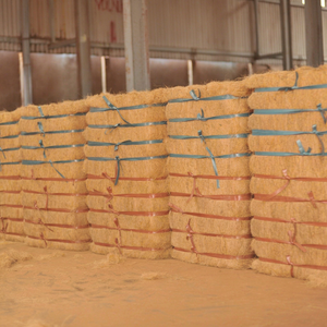 Fibra de Coco de Vietnam Marrón Dorado al por Mayor, Longitud de 5 a 25 cm, 3% de Impurezas, 24-26% de Humedad, 100 kg/paca para Relleno de Colchones - Product Image 1