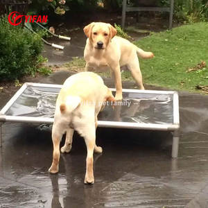 Single Simple Design Wasserdichtes, mittel kau festes Hunde bett Aluminium-Innen-Hunde bett ohne Rost und am langlebigsten - Product Image 1