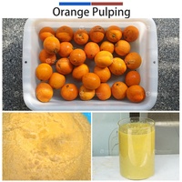 0,5-1t RVS 304 Fruitklopper/Pulpmachine met motor voor hoge productiviteit mango, pruim, sinaasappel, banaan puree & jam
