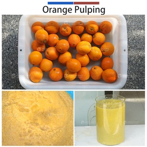 0.5-1t Fruit Beater Mango Pulping Machine Plum Orange Banana Mango Fruit Pulper Machine for Jam - Product Image 5