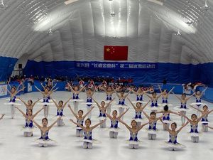 <span class=keywords><strong>Tutu</strong></span> de ballet professionnel pour filles, bleu et rose, style platine, robe de soirée pour ballerine, costume de danse pour femmes adultes, enfants et jeunes filles - Product Image 2