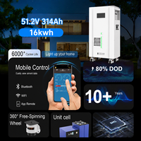 Batterie de serveur 16 kW LiFePo4, batterie onduleur EMS 16 kWh 48 V 51,2 V 200 Ah 314 Ah 300 Ah, système de stockage d'énergie domestique LiFePo4