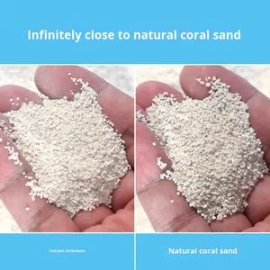 Sable de calcium d'aragonite naturel VASTOCEAN en gros, <span class=keywords><strong>substrat</strong></span> d'<span class=keywords><strong>aquarium</strong></span> sûr <span class=keywords><strong>pour</strong></span> les hermit crabs <span class=keywords><strong>pour</strong></span> les aquariums marins - Product Image 4