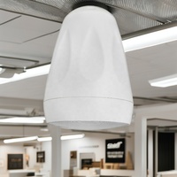 Système de sonorisation R-PD204 4 "pa Pendentif Haut-Parleur Montage Mural Extérieur IP55 Étanche Pendentif Haut-Parleur pour Chambre ou Restaurant