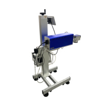 NV5808 Flying Online Portable Type Date Coder Machine de marquage laser pour code de production d'expiration sur bouteille en plastique PET