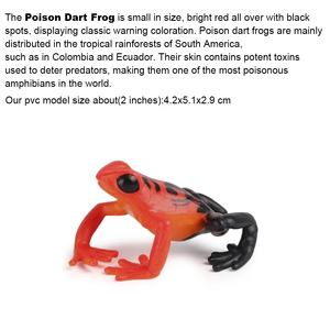 Modelli di Animali Sudamericani: Pappagallo, Armadillo, Alpaca, Tapir, Rana Avvelenata, Orso Martello, Giocattoli in Plastica - Product Image 6