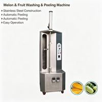 DXP-150 Meloen Schilmachine, verstelbare schil-dikte voor papaja, himeloen, voedingsfabriek, kantinebewerking