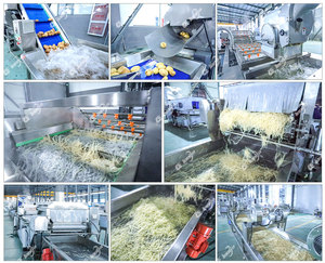 Machine à éplucher les légumes en fibre blindée, machine à couper les pommes de terre et les carottes, machine à <span class=keywords><strong>blanchir</strong></span>, éplucheur de pommes de terre, vente chaude - Product Image 4