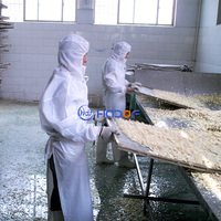 Hoge Kwaliteit 220V Knoflook Poeder Productielijn Nieuwe Staat Groente & Voedsel Drogen Machine Uit China