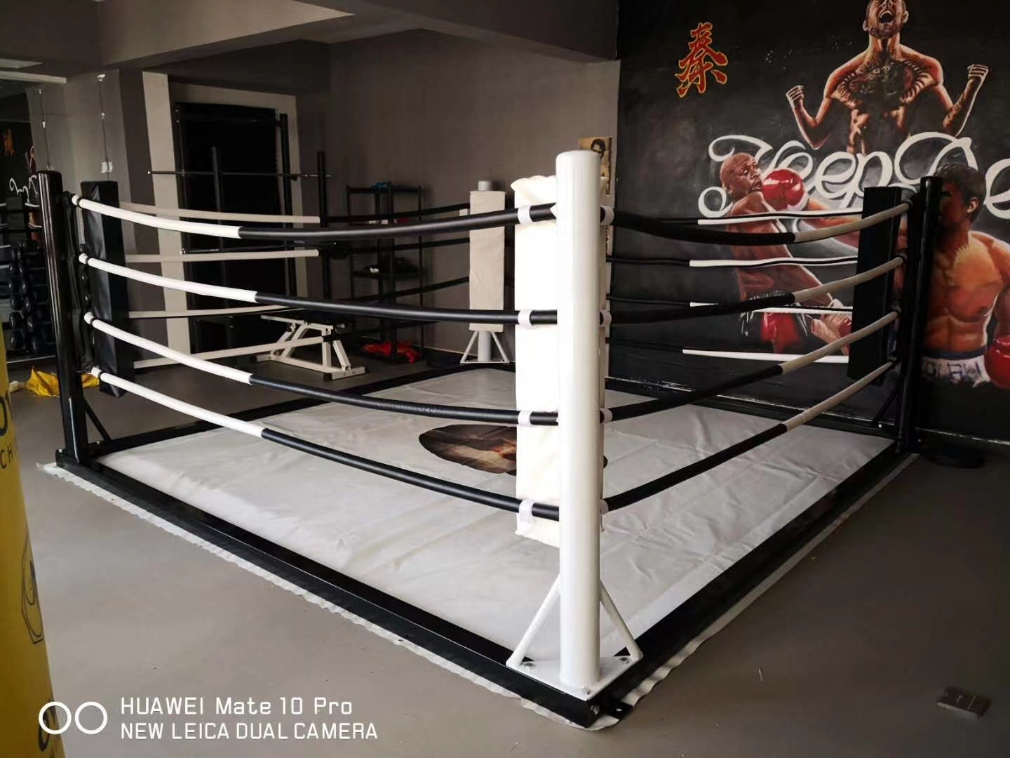 BOXING RING CANVAS 黒いナイロンリングマット Elevated Boxing Ring