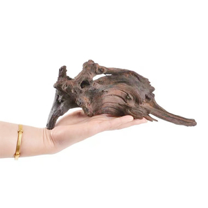 <span class=keywords><strong>Bois</strong></span> flotté naturel bonsaï pour <span class=keywords><strong>aquarium</strong></span>-décor d'<span class=keywords><strong>aquarium</strong></span> à naufrage rapide-<span class=keywords><strong>bois</strong></span> d'aquascaping pour betta/réservoirs de crevettes faibles tanins - Product Image 5