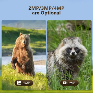 <span class=keywords><strong>2025</strong></span> Neue 3MP 2K Outdoor <span class=keywords><strong>IP</strong></span> Netzwerk Solar Jagd spiel kameras 4G GPS Tracking Zwei-Wege-Audio Nachtsicht SD-Karte für Wild Trail - Product Image 5