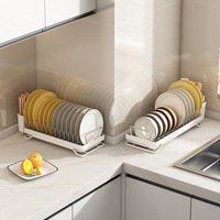 Petit égouttoir à vaisselle en métal à un seul niveau pour cuisine, support de rangement sous évier pour bols et assiettes, avec porte-baguettes
