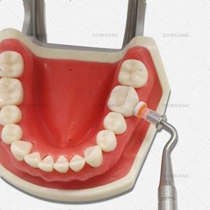 Forma dentale a contatto con spatola in resina composita con tappi di riempimento per strumenti di modellazione composita D - Product Image 4