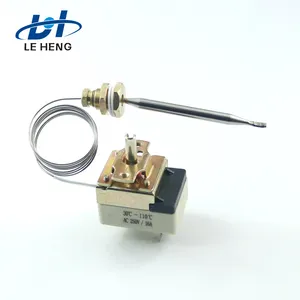 WHD-250B Temperature Control Heating Capillary Electric Oven Thermostat Switch