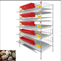 Cage à étages robuste de type H pour la production d'œufs de cailles, avec alimentation et abreuvement automatiques