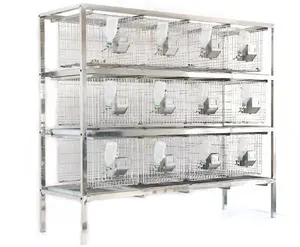 12 positions Lab rabbit cage