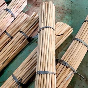 Escoba de madera de eucalipto de alta calidad, elegante, ecológica, duradera, ligera, portátil, impermeable, con cerdas suaves tipo bandera para un hogar limpio. - Product Image 6