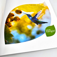 Folleto OEM, Papel de Arte, Encuadernación Perfecta, Cubierta Suave, Laminación de Película, Impresión Offset, Libro de Muestras