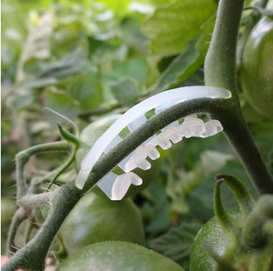 Clips de Plástico Blancos para Soporte de Plantas, Enredaderas, Plántulas y Ramas de <span class=keywords><strong>Tomate</strong></span>/Frutas - Product Image 6