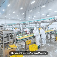 Ligne de mise en conserve automatique de fruits LWT avec stérilisateur alimentaire, capacité de 10 tonnes par heure, palettiseur rotatif en acier inoxydable et retourneur de caisses