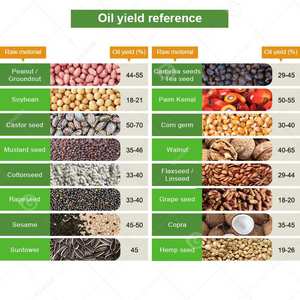 Presse à huile multifonctionnelle 6YL 95 Spiral UK Dubai pour soja, tournesol, colza, ricin, fabriquée en Chine, à vendre - Product Image 6