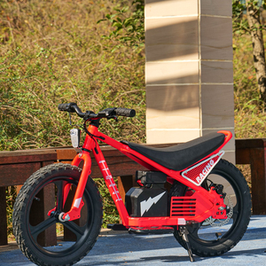 Nouveauté 2026 : Trottinettes Électriques Puissantes 150W pour Enfants, Trottinette d'Équilibre pour Enfants 16 Pouces, Trottinette Enfant 16 Pouces, E-Scooter - Product Image 4