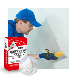 Poudre de mastic mural BlueKingfisher - Mélange prêt à l'emploi imperméable et anti-fissures pour murs intérieurs et extérieurs, <span class=keywords><strong>prix</strong></span> d'usine - Product Image 5